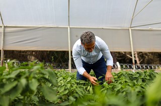 Gemlik Belediyesi Serasında yetişen ürünler Halk Büfe’lerde satışta